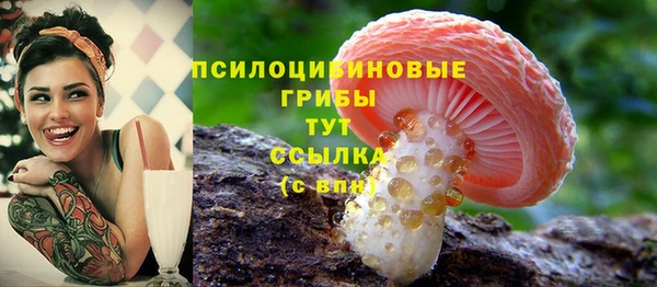 соль курить ск Балабаново