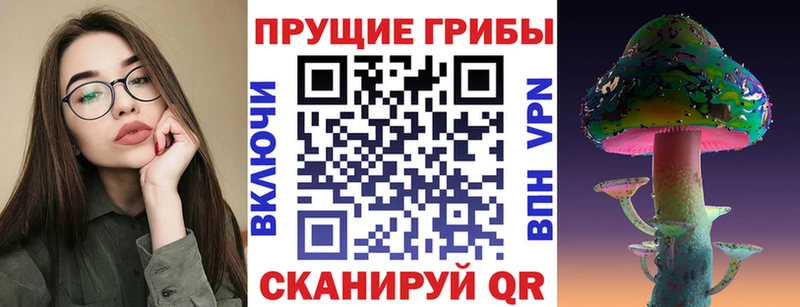 наркошоп  Бор  omg зеркало  Псилоцибиновые грибы GOLDEN TEACHER 